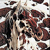 Snow and horse slide puzzle