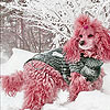 Snow and pink dog slide puzzle