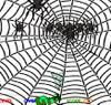 Spider Killer