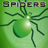 Spiders