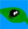 SpiderSpin
