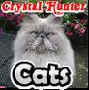SSSG - Cats