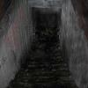 Steal Gold And Escape 7 part 2