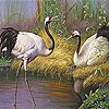 Storks on the lake slide puzzle