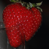 Strawbery Puzzle