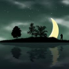Summer night