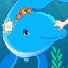 Swim with dolphins