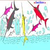 Sword Fish Coloring