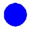 The button