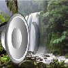 The sounds of nature