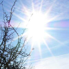 The winter sun