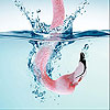 Thirsty flamingo slide puzzle