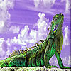 Tired lizard slide puzzle