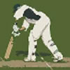 TMS Twenty20 Cricket