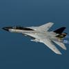 Tomcat AirCraft