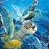 Turtles  in the ocean slide puzzle