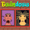Twindows