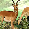 Two elegant deer puzzle