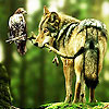 Two friends in the woods puzzle