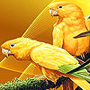 Two offended parrot puzzle