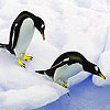 Two penguin in the pole puzzle