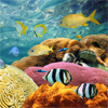 Underwater World