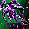 Violet octopus slide puzzle
