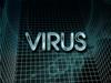 Virus