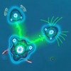 War of Cells