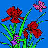 Weasel garden coloring