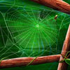 Web
