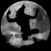 Werewolf find numbers