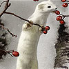 White animal and rosehip slide puzzle