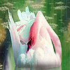 White swans in the lake puzzle