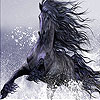 Wild black horse slide puzzle