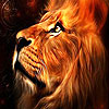 Wild lion slide puzzle