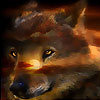 Wild wolf puzzle