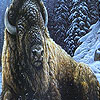 Winter and  big buffalo puzzle
