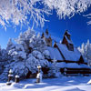 Winter Home