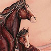 Winter horses slide puzzle