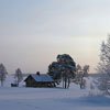 Winter House