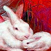 Winter rabbits puzzle