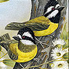 Woodland birds slide puzzle