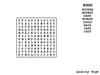 Word Search 9
