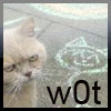 You Did It Wrong! LOL Cat