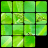 Zen Puzzle